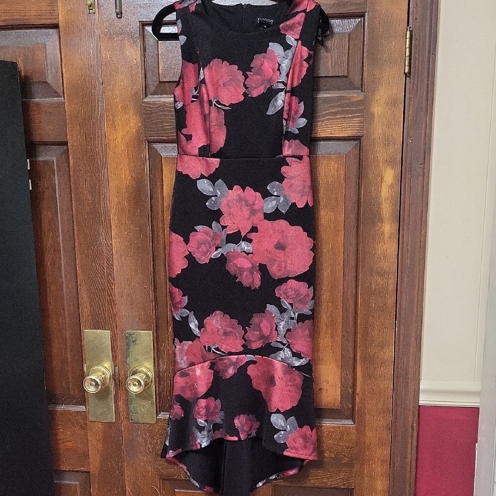 Enfocus Studio Black and Red Floral Dress
